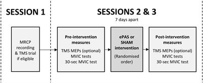 Peripheral Electrical Stimulation Paired With Movement-Related Cortical Potentials Improves Isometric Muscle Strength and Voluntary Activation Following Stroke